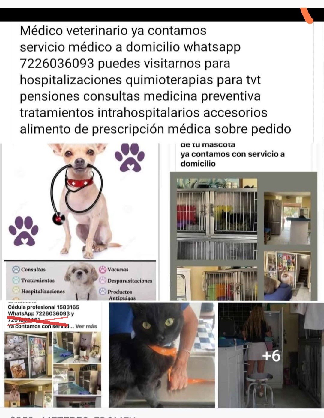 Hospitalizaciones