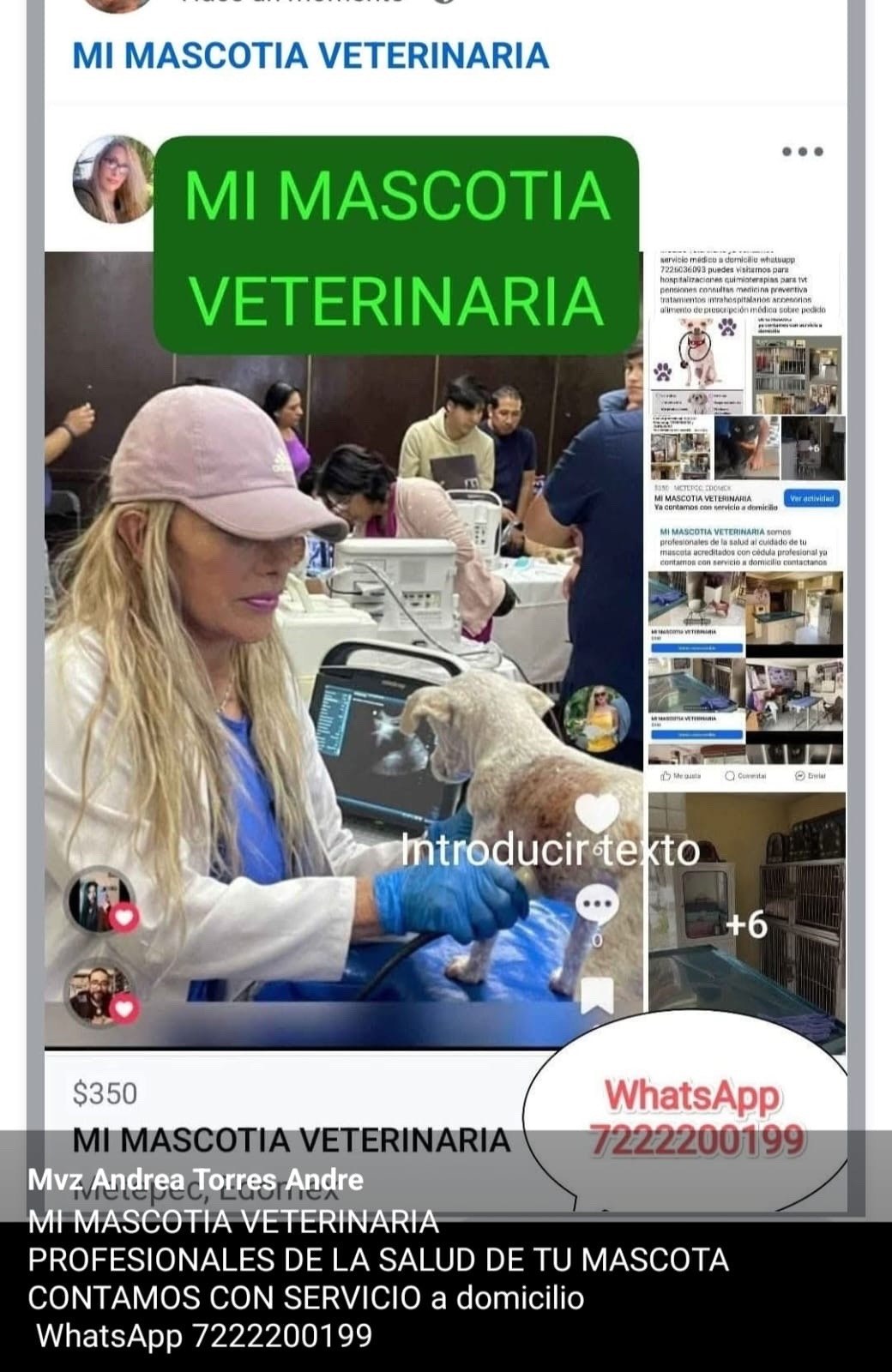 Medicina preventiva